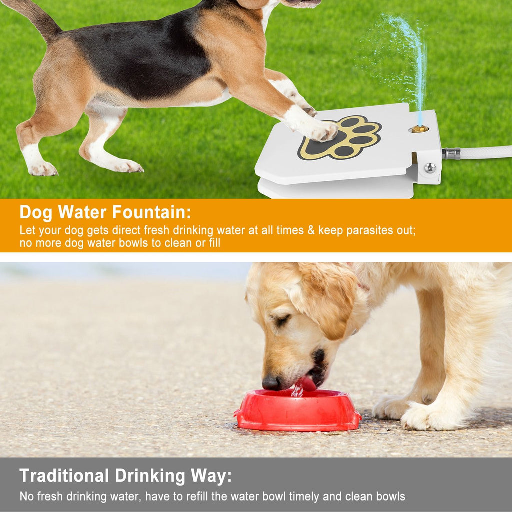 Never Refill a Water Bowl Again – Fresh Water On Demand!