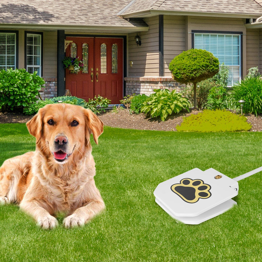 Never Refill a Water Bowl Again – Fresh Water On Demand!