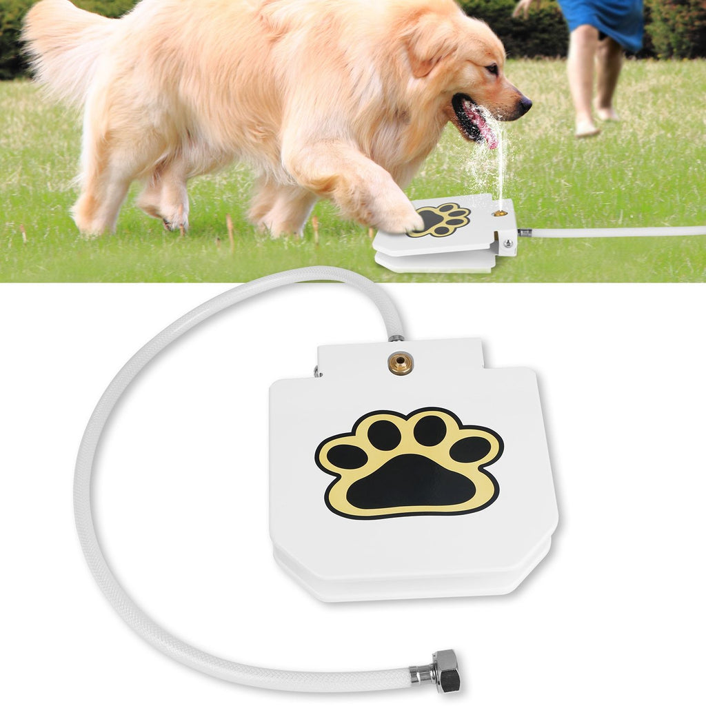 Never Refill a Water Bowl Again – Fresh Water On Demand!