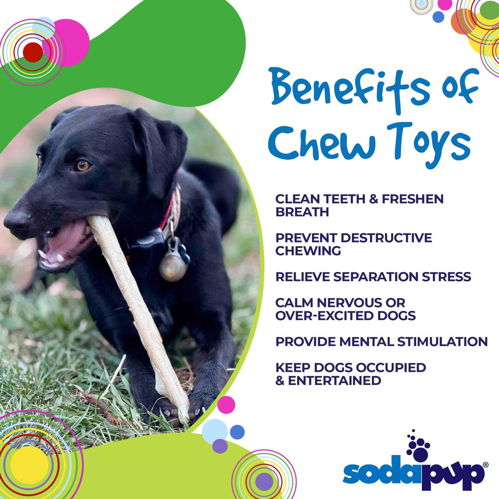 everyday Nylon Glow in the Dark Chew Stick for Power Chewers | Indestructible Dog Toy USA
