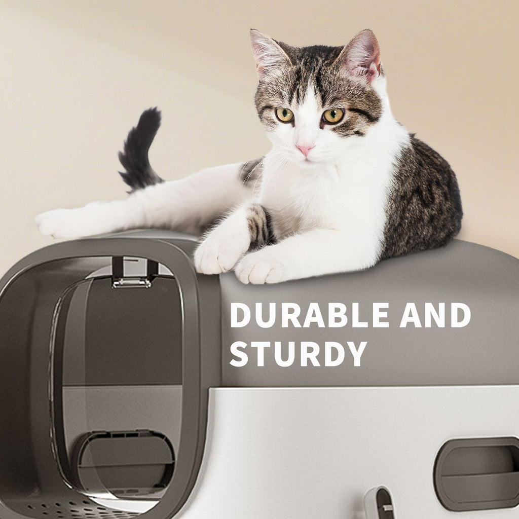 E Classic Grey Cat litter Box - Simple and Practical, Large Space, High Cost Effective Choice