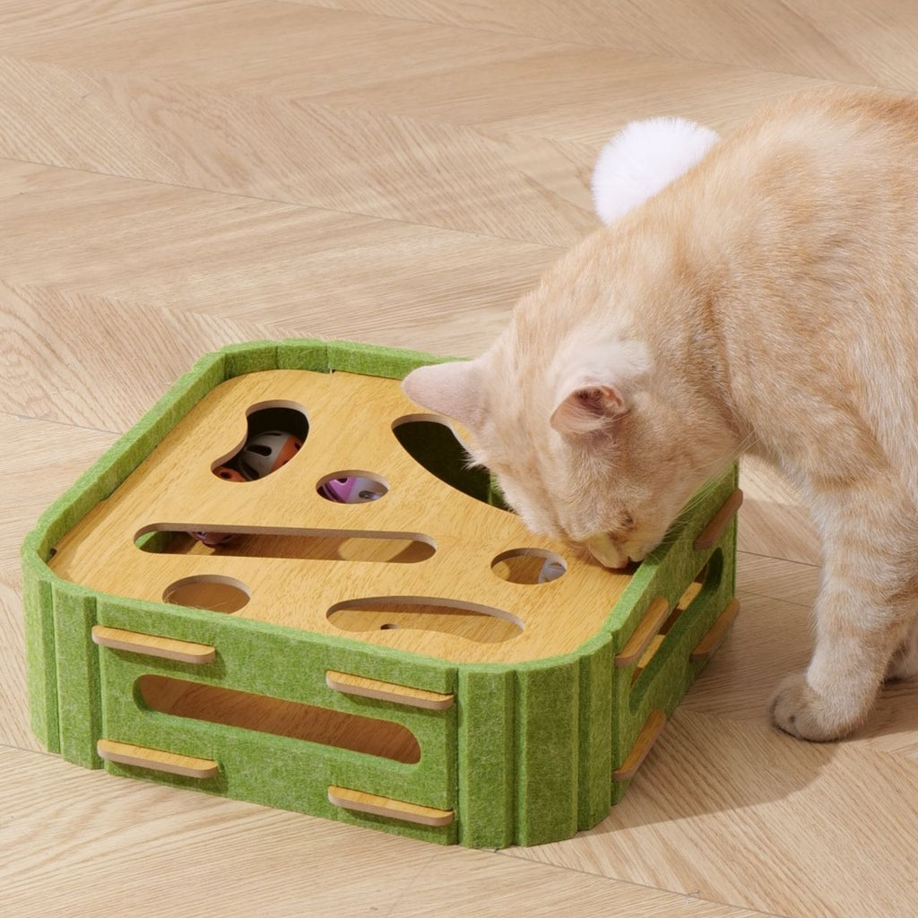 everyday Cat Scratcher with Interactive Balls - Compact