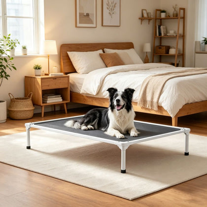 Elevated Dog Bed with Breathable Mesh & Aluminum Frame