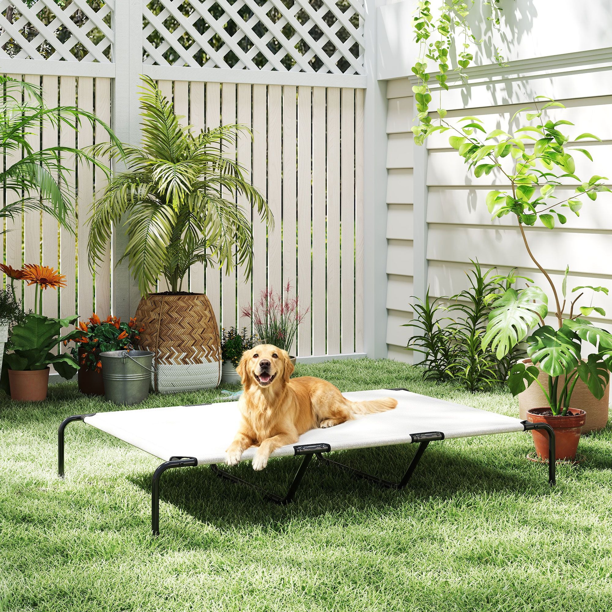 Elevated Dog Bed for Large Breeds Beige 60"L
