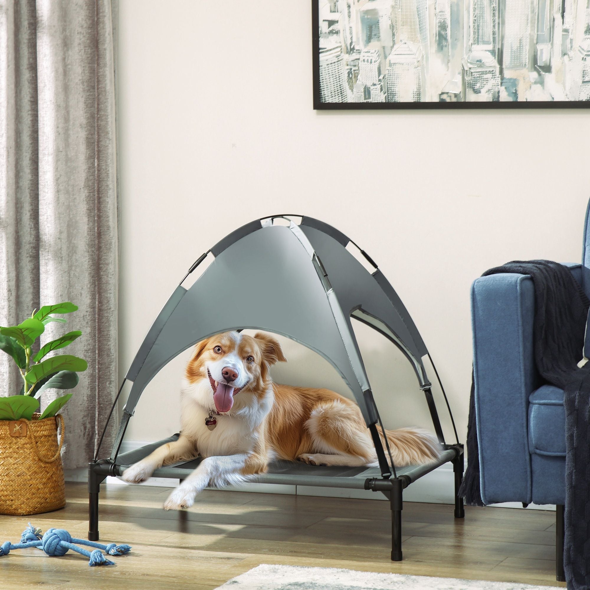Elevate Your Dog's Comfort with a Shaded Outdoor Cot
