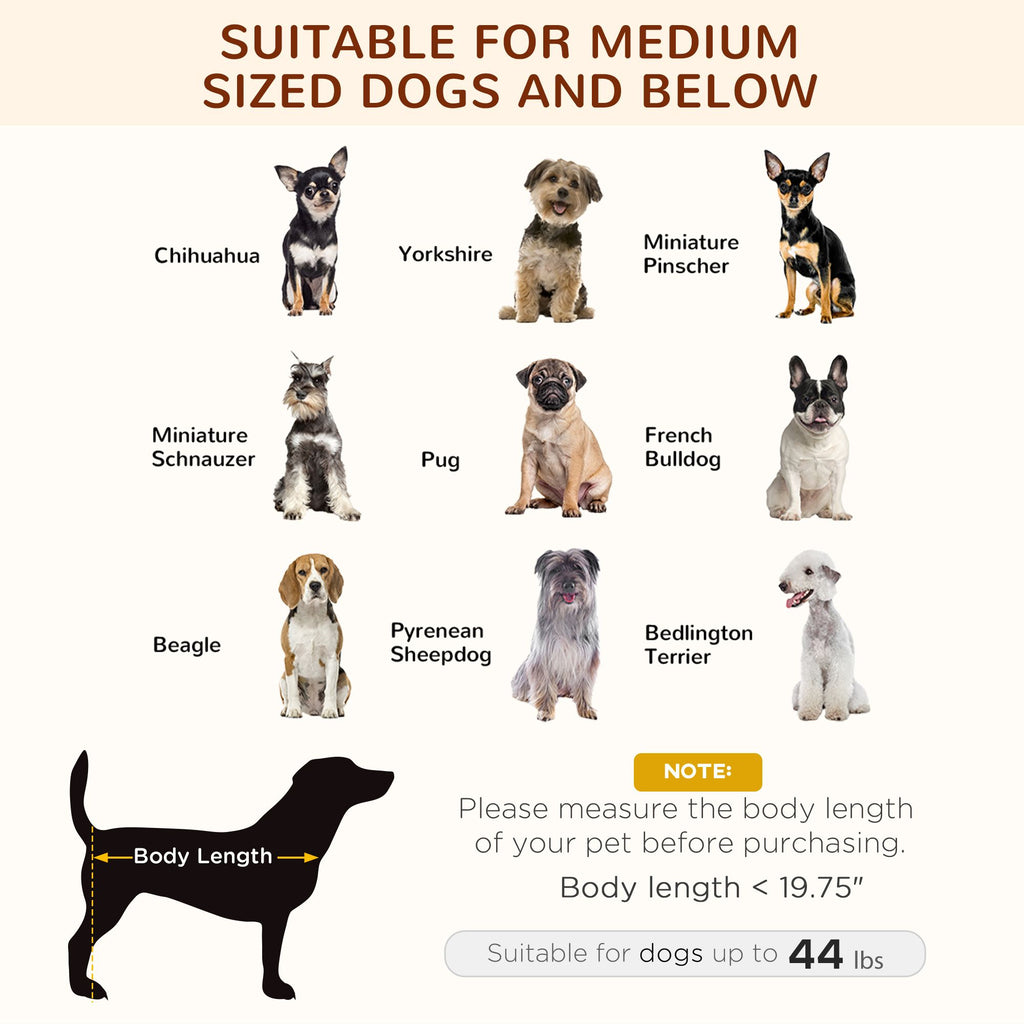 Elevate Your Dog's Comfort with a Shaded Outdoor Cot