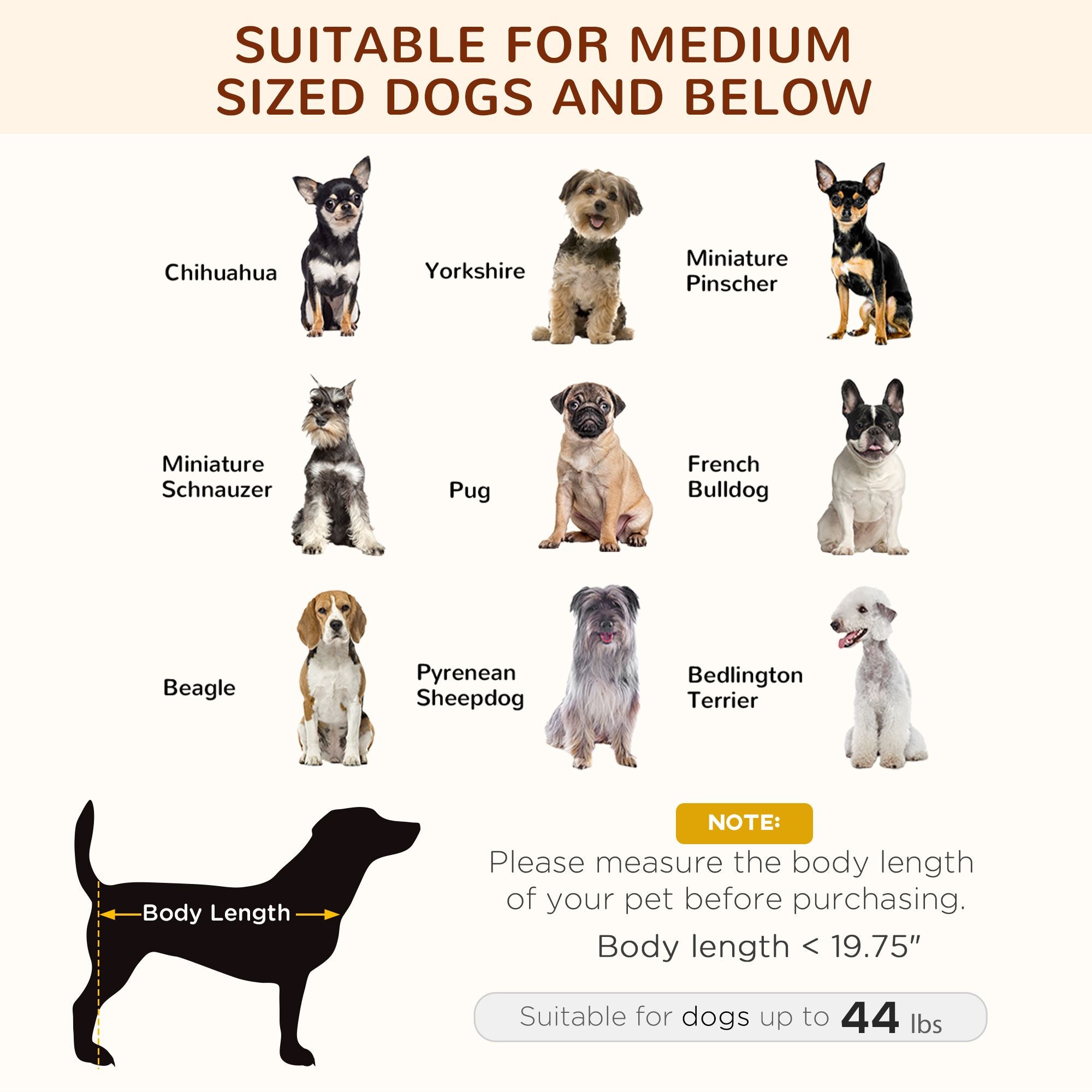 Elevate Your Dog's Comfort with a Shaded Outdoor Cot