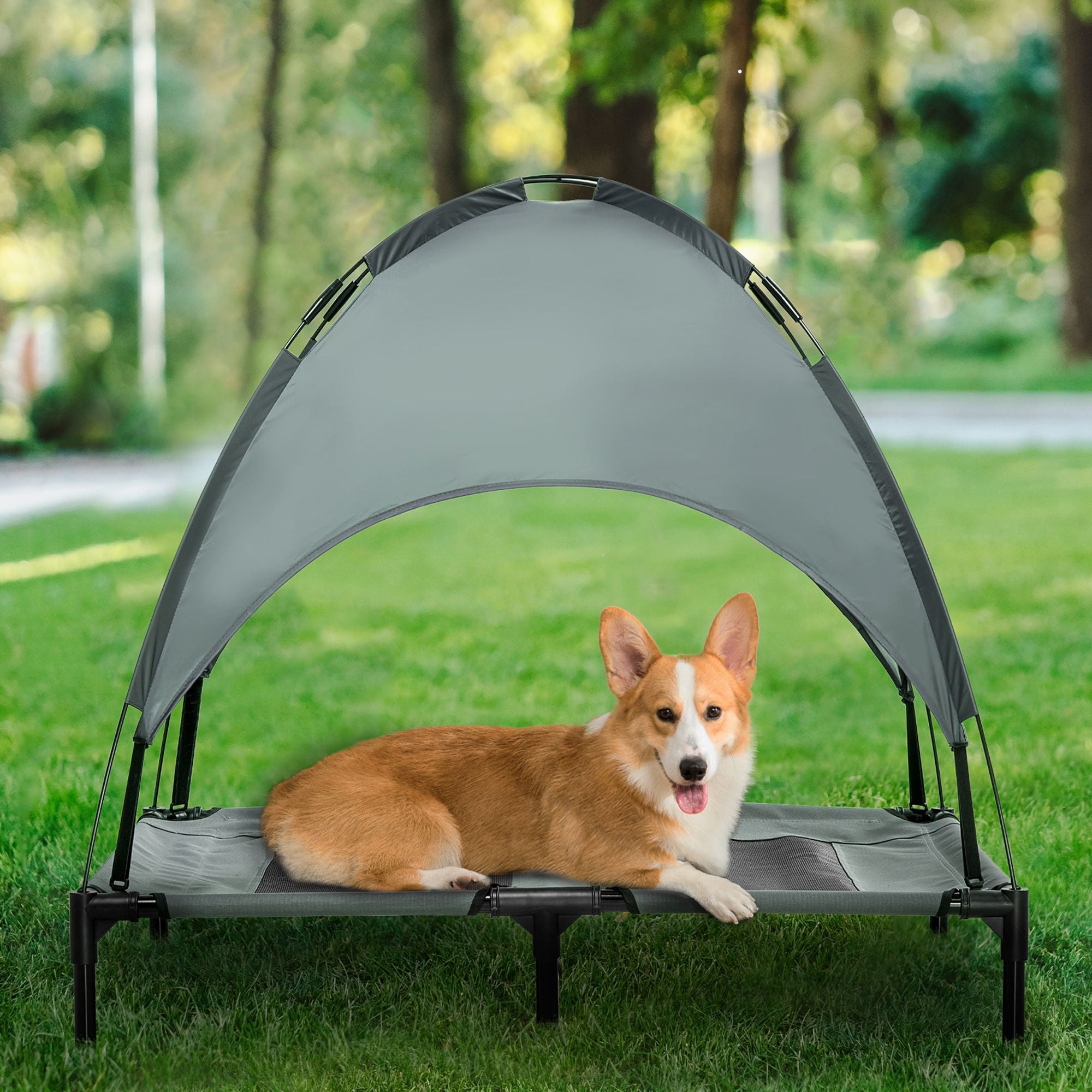 Elevate Your Dog's Comfort with a Shaded Outdoor Cot