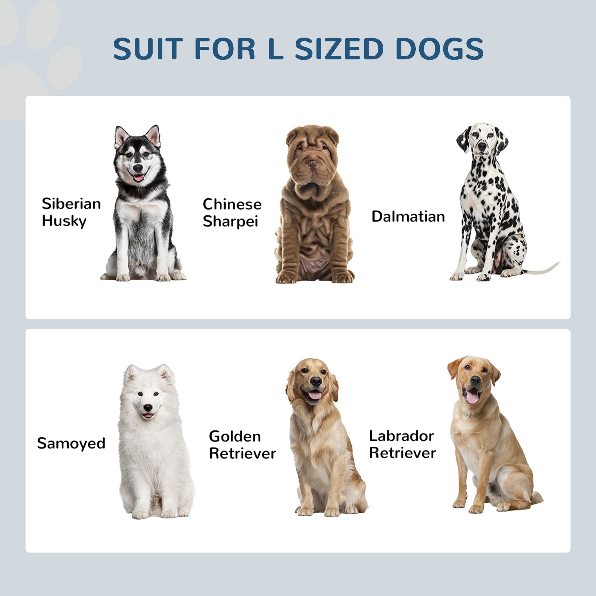 Elevate Your Dog's Mealtime with a Stylish Feeding Station & Storage Drawer