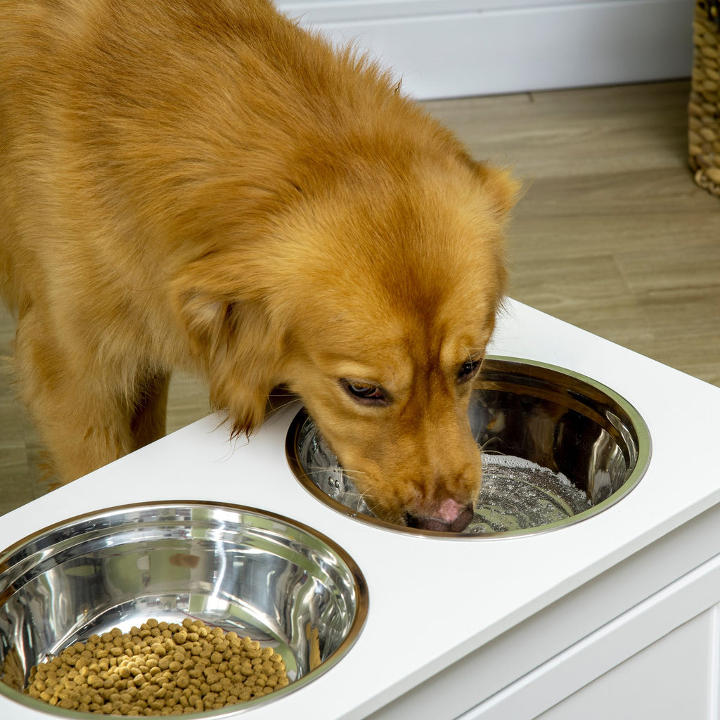 Elevate Your Dog's Dining Experience with Storage & Style
