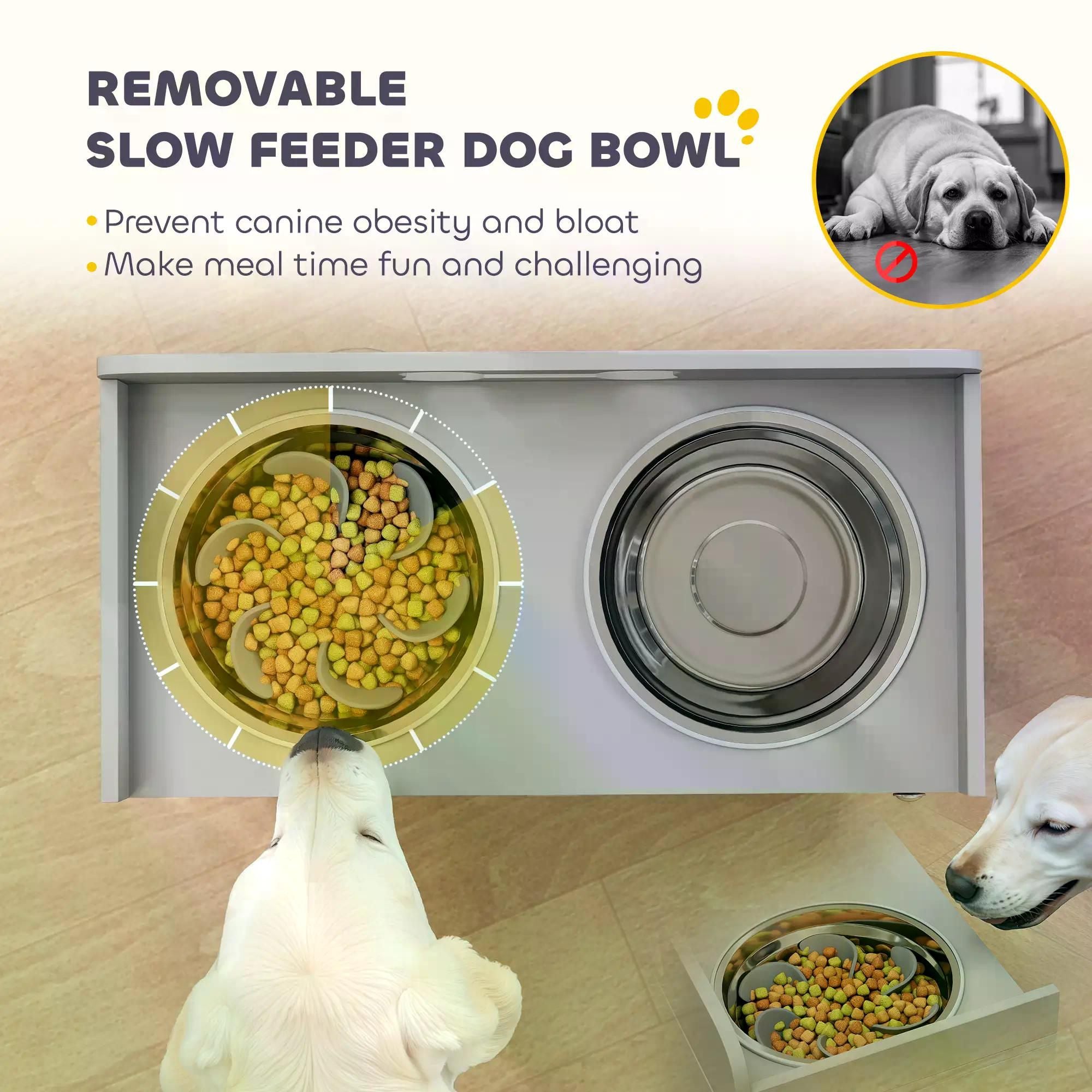 Elevate Your Dog's Mealtime with Style & Storage