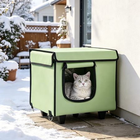 Elevated Heated Cat House – Warm, Insulated, water-ready Shelter