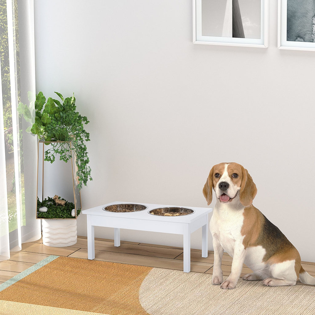 Elevate Your Pet's Mealtime with a Healthier, Cleaner Feeding Station
