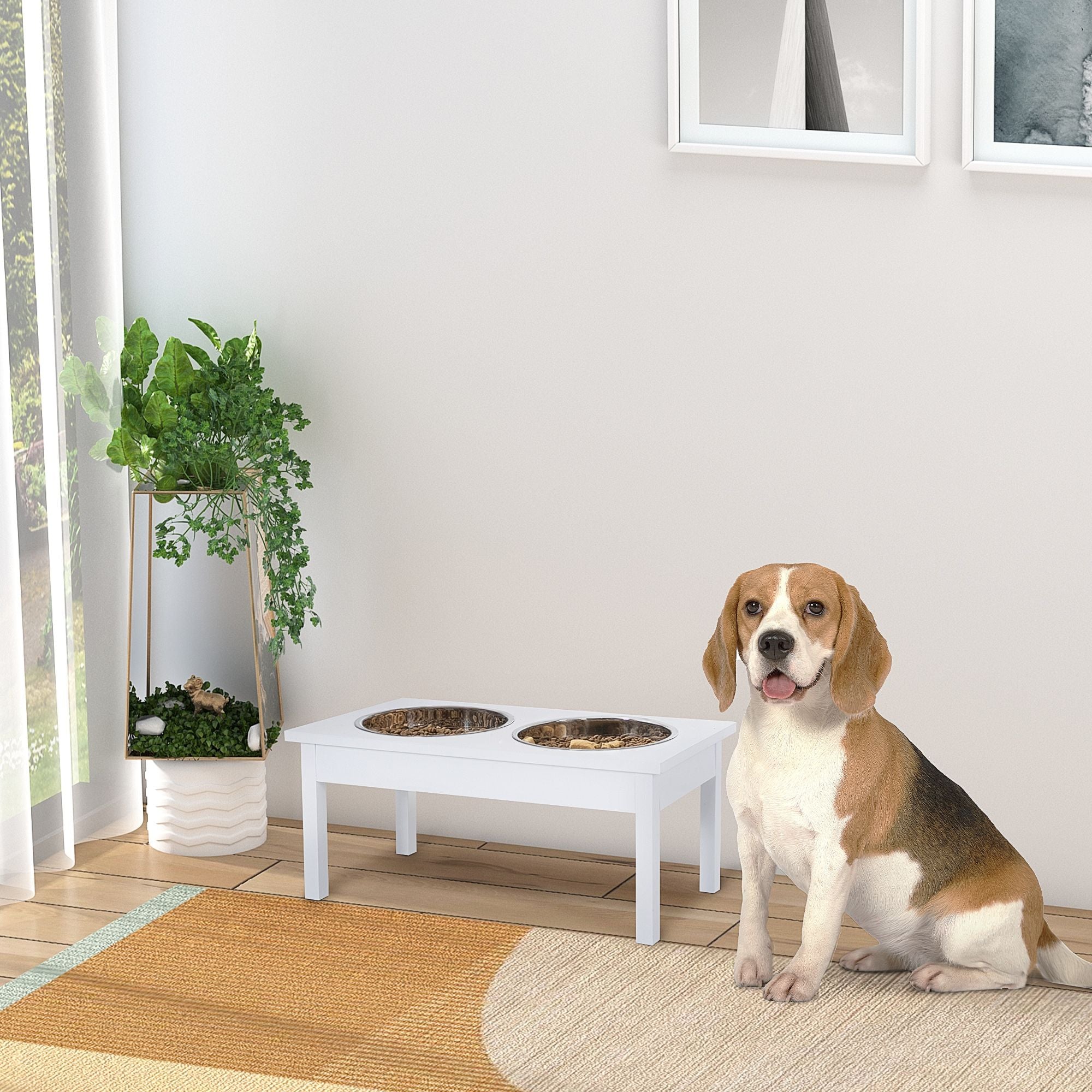 Elevate Your Pet's Mealtime with a Healthier, Cleaner Feeding Station