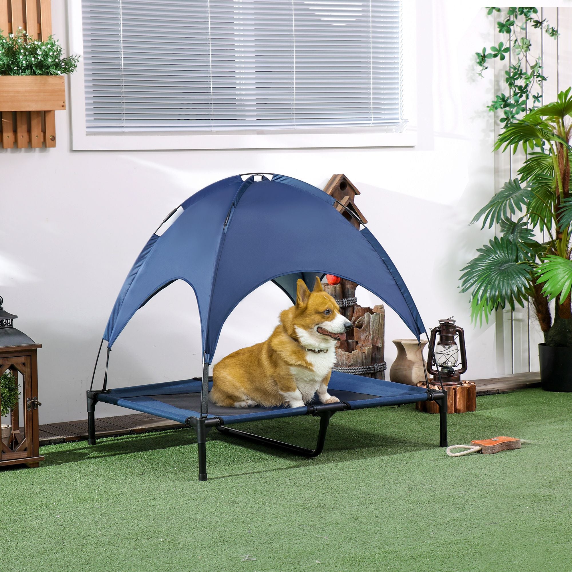 Elevate Your Dog's Comfort with a Portable Cot & Canopy