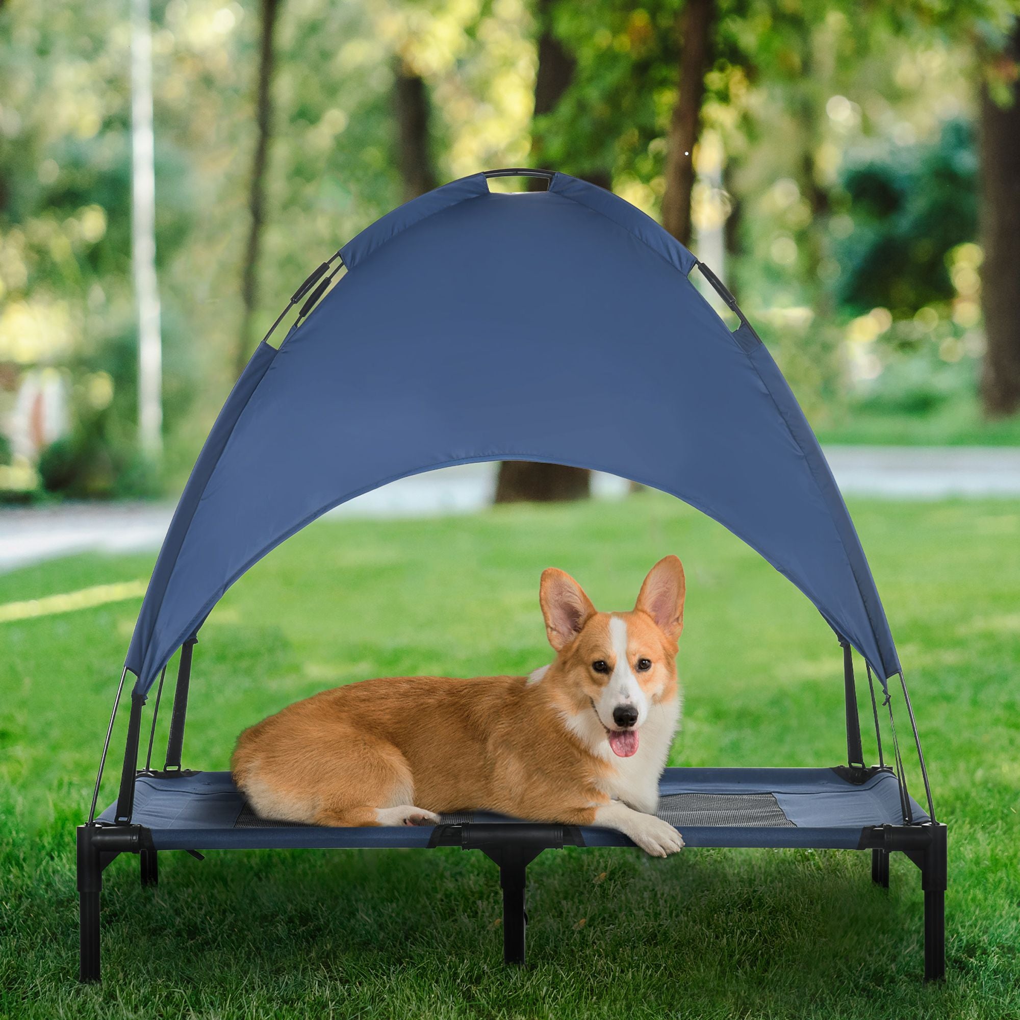 Elevate Your Dog's Comfort with a Portable Cot & Canopy