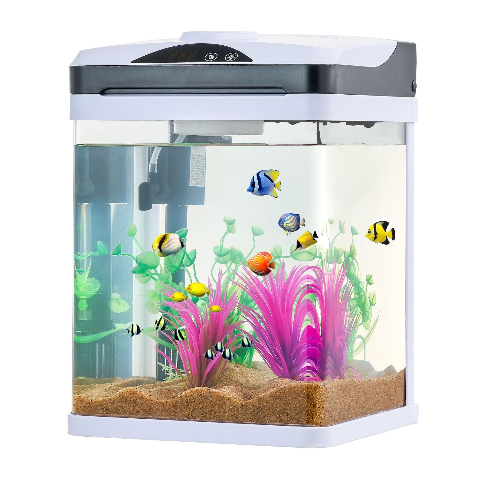 2 Gallon LED Square Aquarium with Ultra-Clear Glass and Adjustable 7-Color Lighting