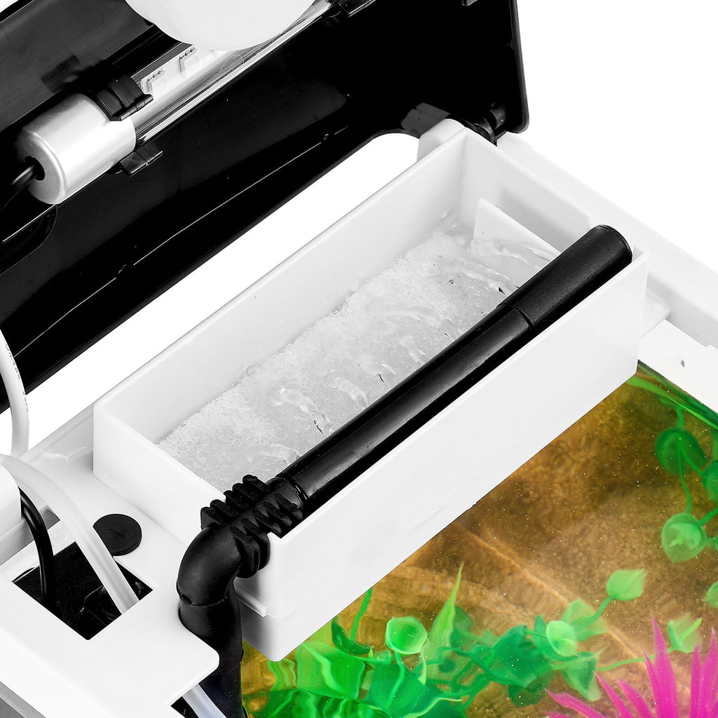 2 Gallon LED Square Aquarium with Ultra-Clear Glass and Adjustable 7-Color Lighting