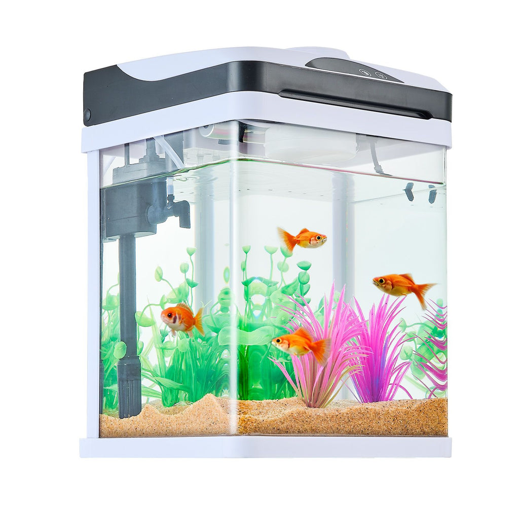 2 Gallon LED Square Aquarium with Ultra-Clear Glass and Adjustable 7-Color Lighting