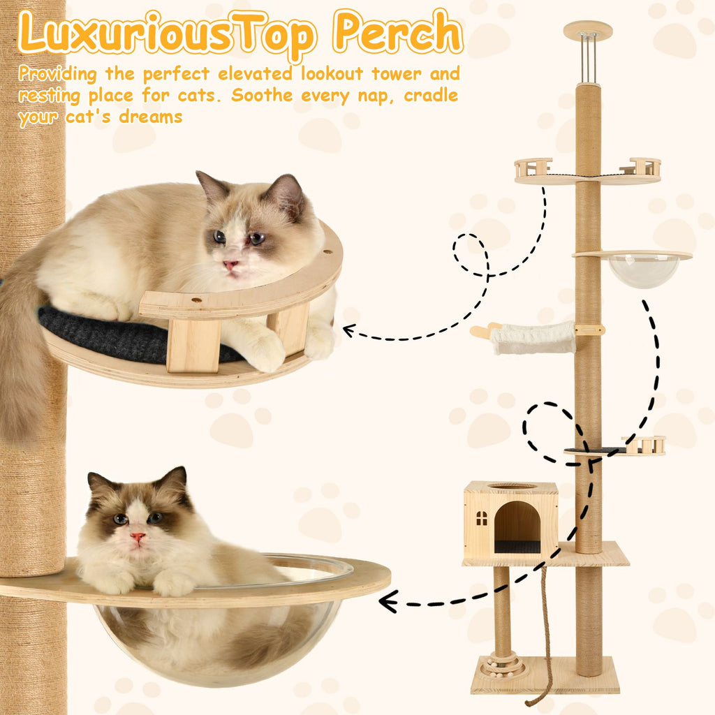 6-Level Floor-to-Ceiling Cat Tree with Transparent Capsule & Hammock