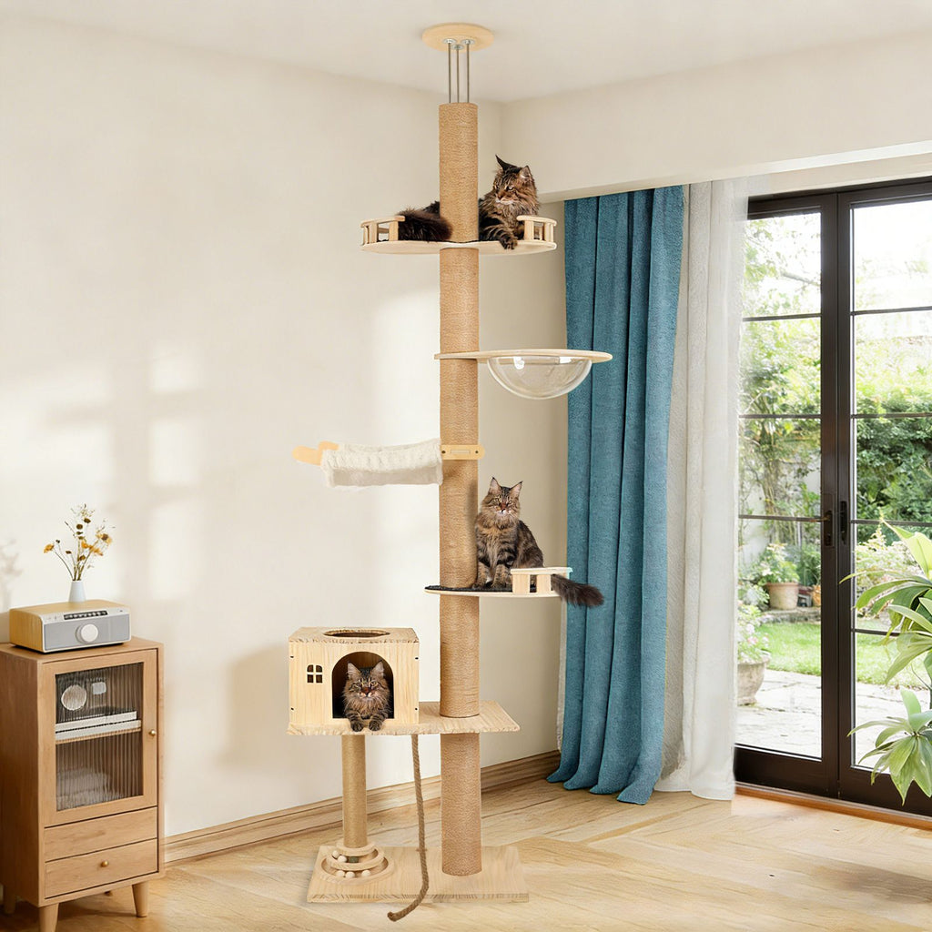 6-Level Floor-to-Ceiling Cat Tree with Transparent Capsule & Hammock