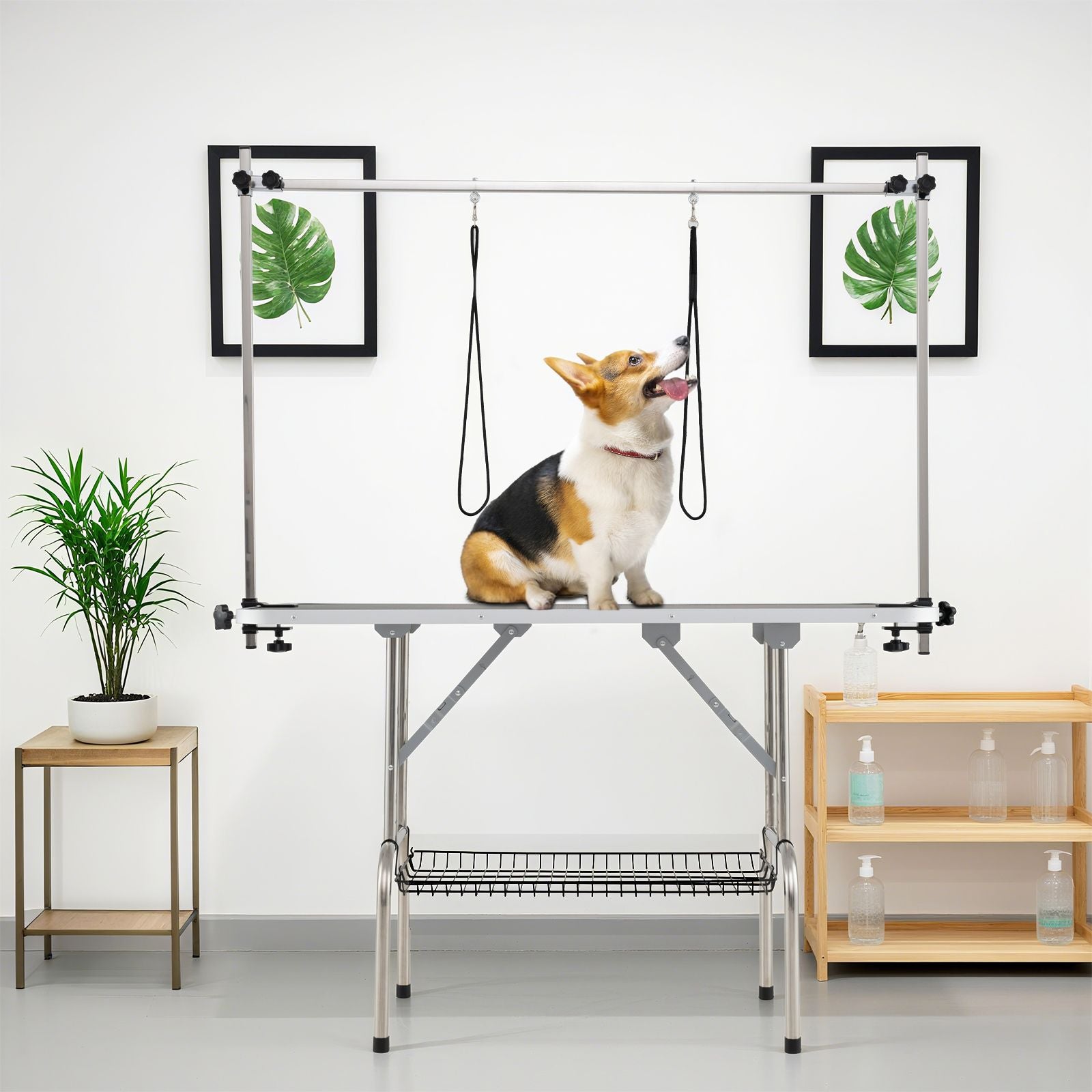 Foldable Dog Grooming Table with Adjustable Arms – Comfort & Stability for Every Groom