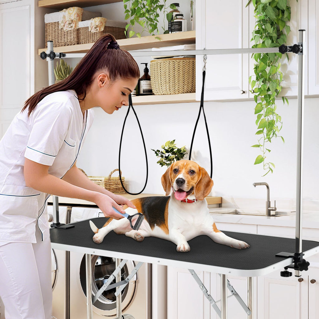 Foldable Dog Grooming Table with Adjustable Arms – Comfort & Stability for Every Groom