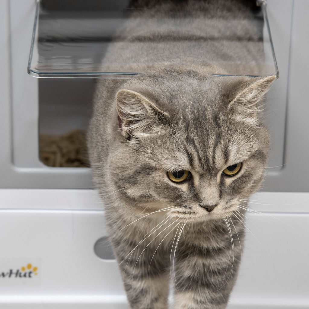 Fully Enclosed Cat Litter Box, Front Entry, Top Exit, Easy Clean, Gray