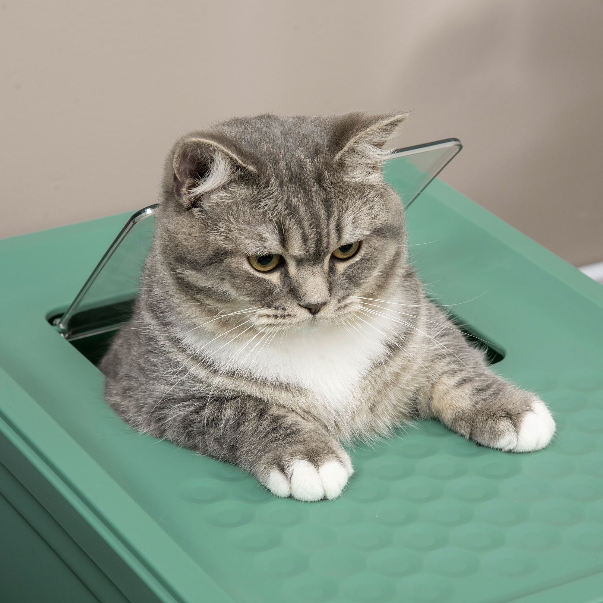 Fully Enclosed Cat Litter Box with Front Entry and Top Exit, Plastic, Green & White
