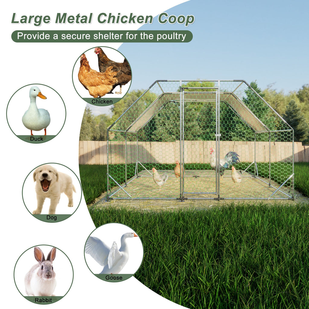 Spacious Galvanized Walk-In Chicken Coop – Secure & Weather-Resistant Poultry Run