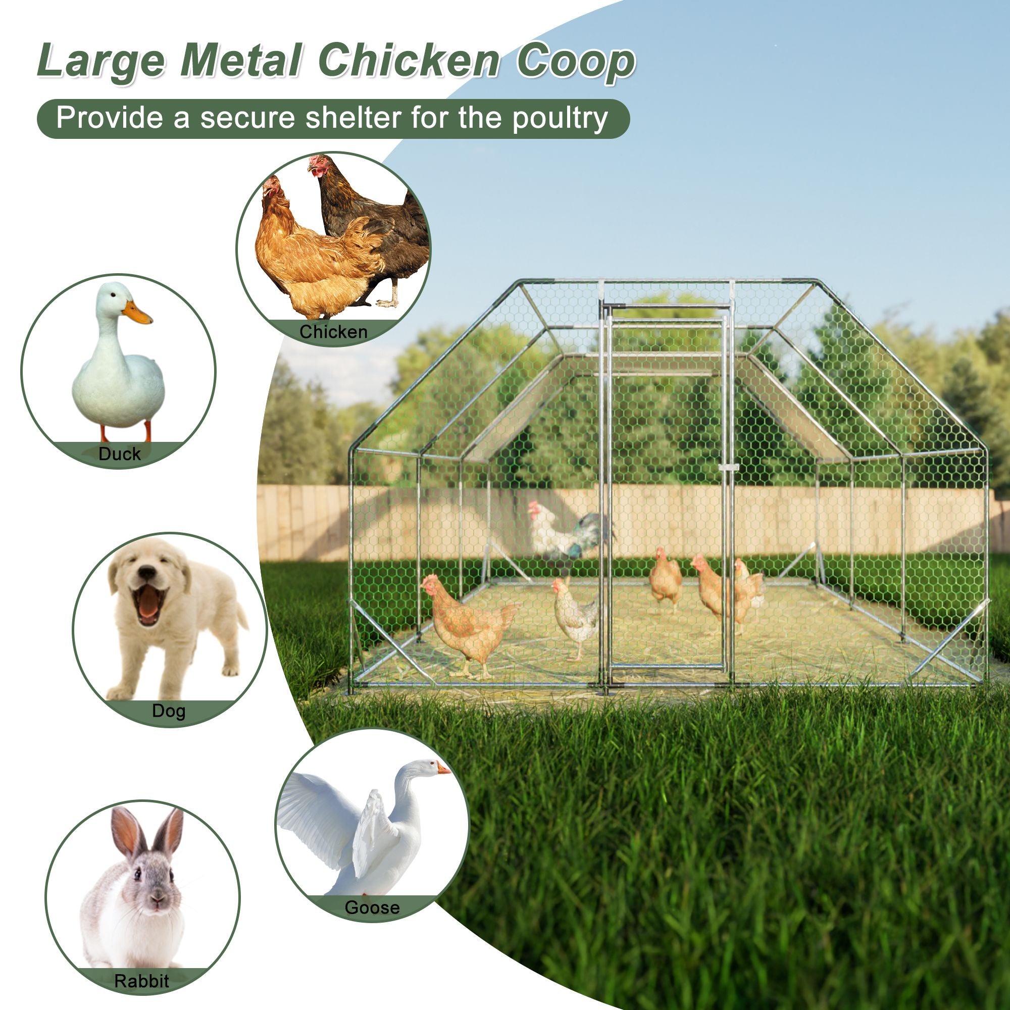 Spacious Galvanized Walk-In Chicken Coop – Secure & Weather-Resistant Poultry Run