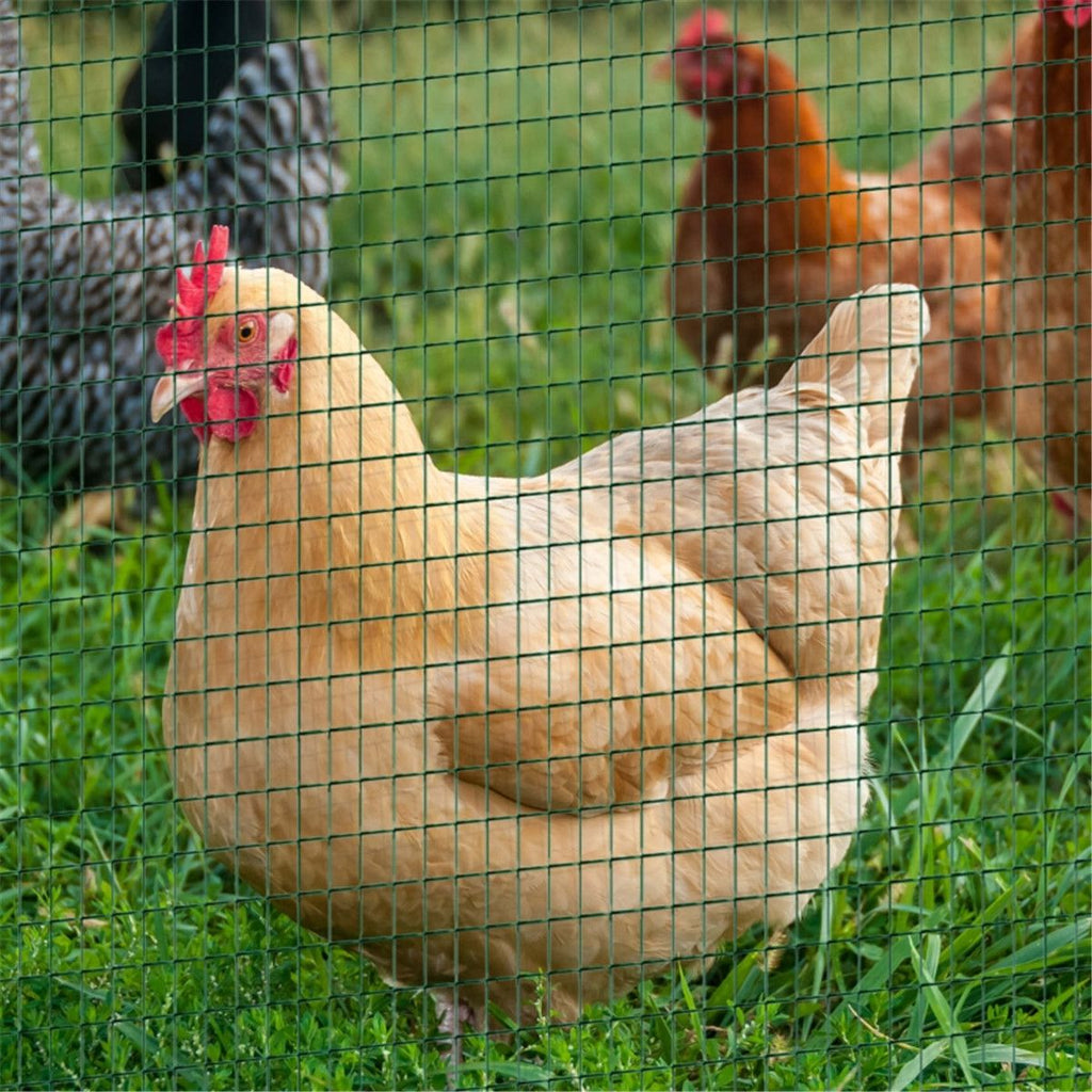 Create a Safe Boundary for Your Dog with This Versatile Mesh Fencing