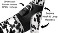 GPS Pet Tracker Harness – Lightweight & Breathable with Real-Time Tracking