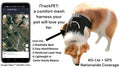 Real-Time GPS Tracking for Your Pet – Peace of Mind from Anywhere!