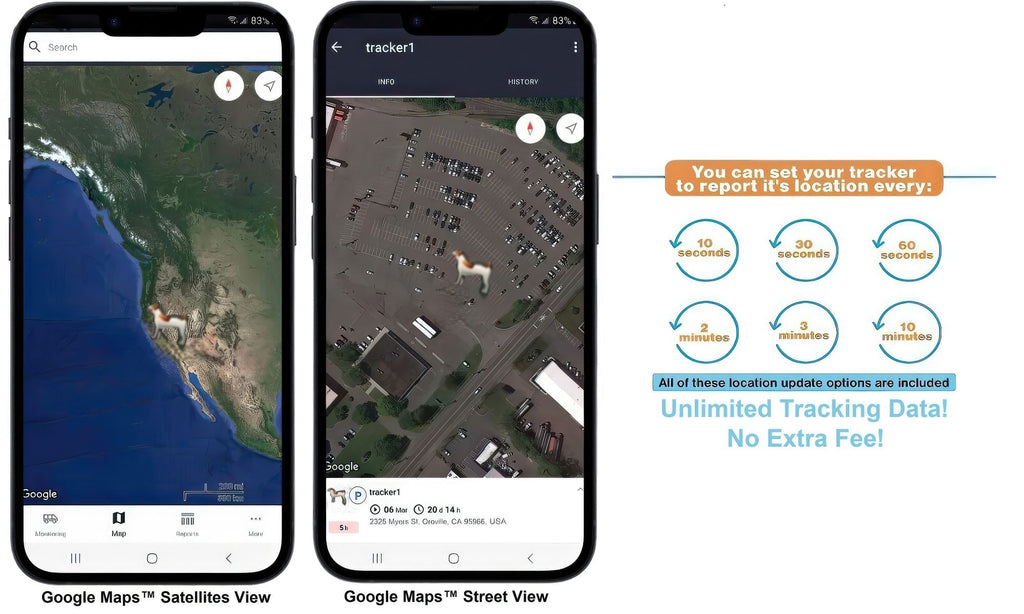 Track Your Best Friend in Real-Time with the Pet Tracker XS Harness