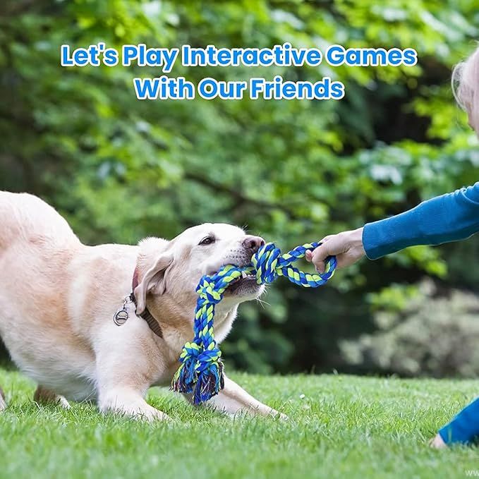 practical Rope Toys for Large Breed Aggressive Chewers