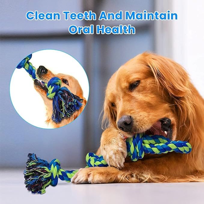 practical Rope Toys for Large Breed Aggressive Chewers