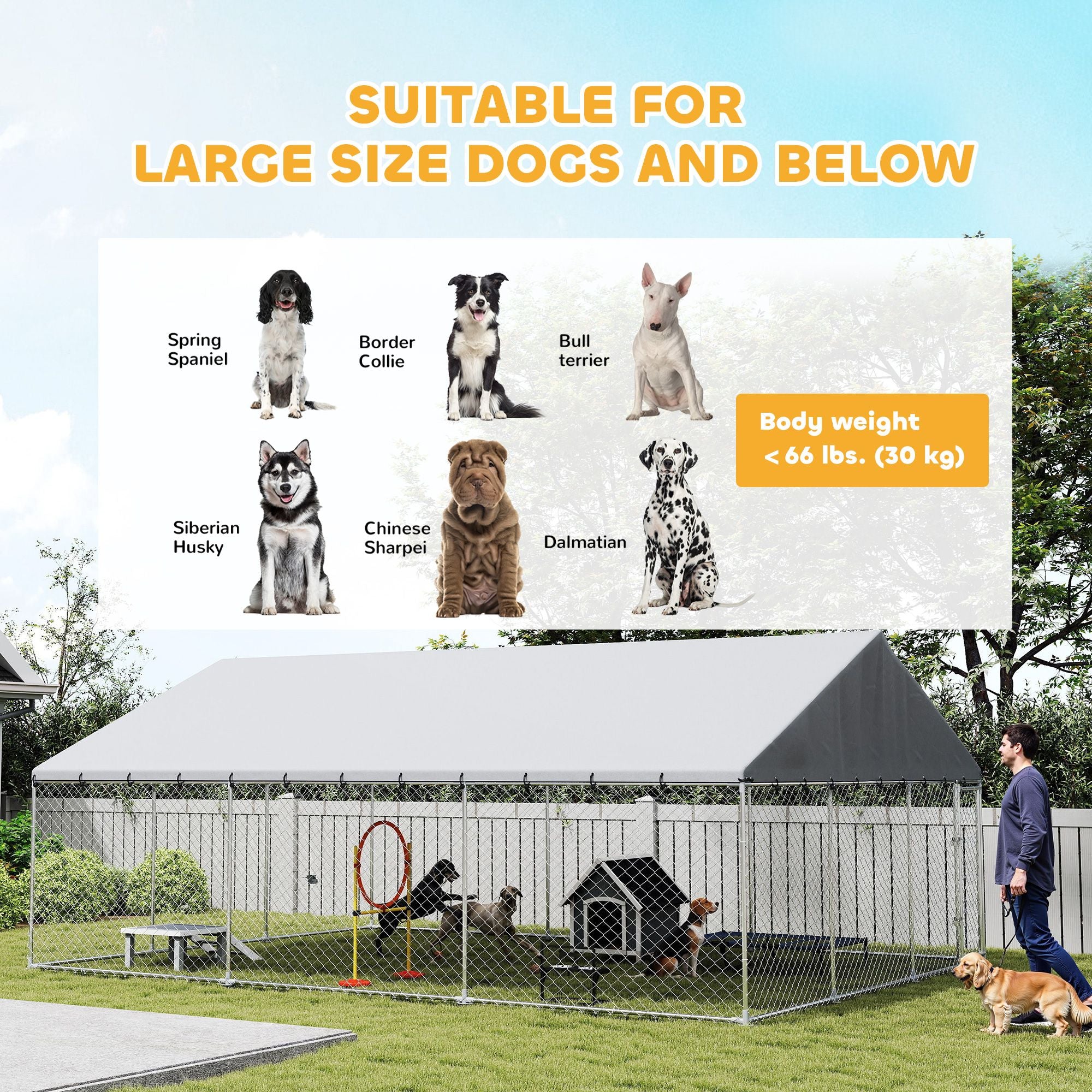practical Outdoor Dog Kennel with water-ready Roof and Secure Latches