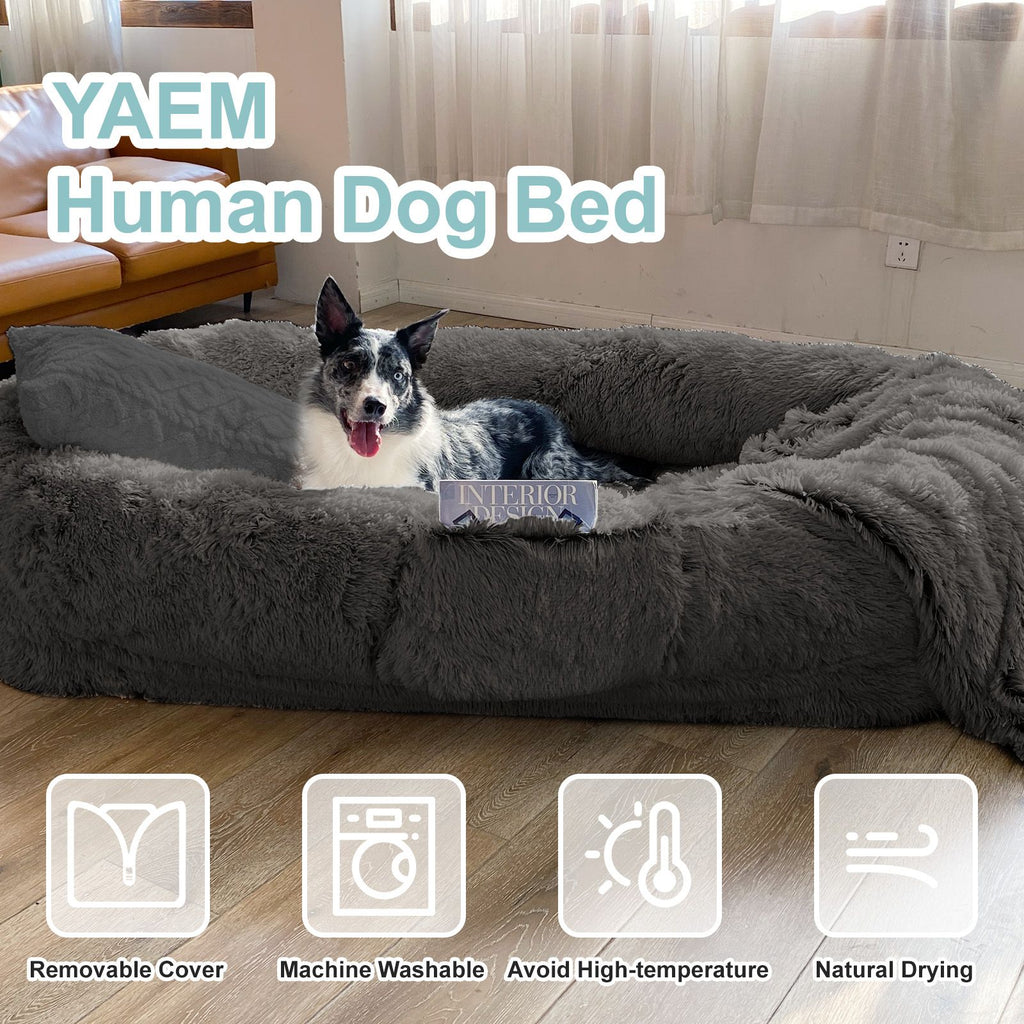 The Ultimate Human Dog Bed: Snuggle with Your Pup in Luxurious Comfort