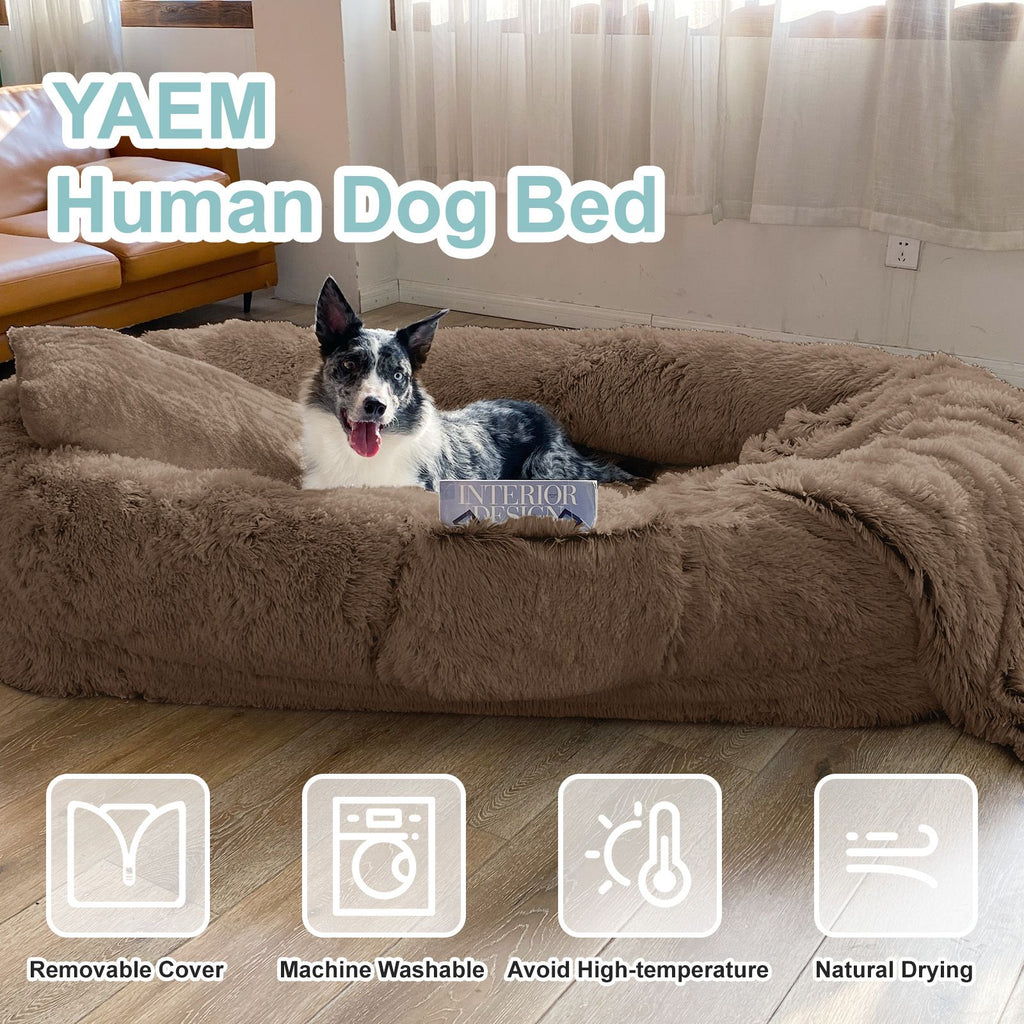 The Ultimate Human Dog Bed: Snuggle with Your Pup in Luxurious Comfort