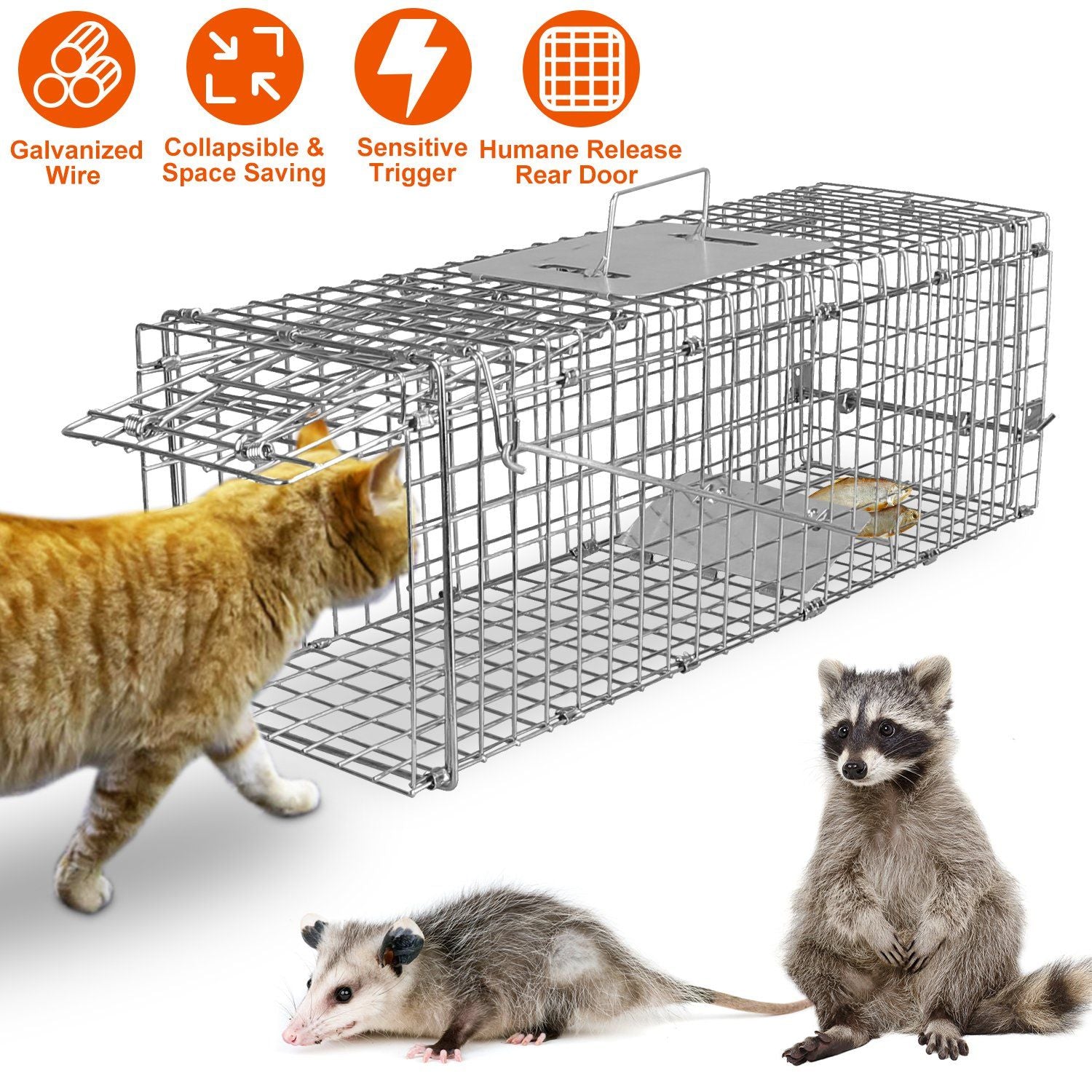 Humane Cat Trap Cage – Catch & Release Live Animal Trap for Small Critters