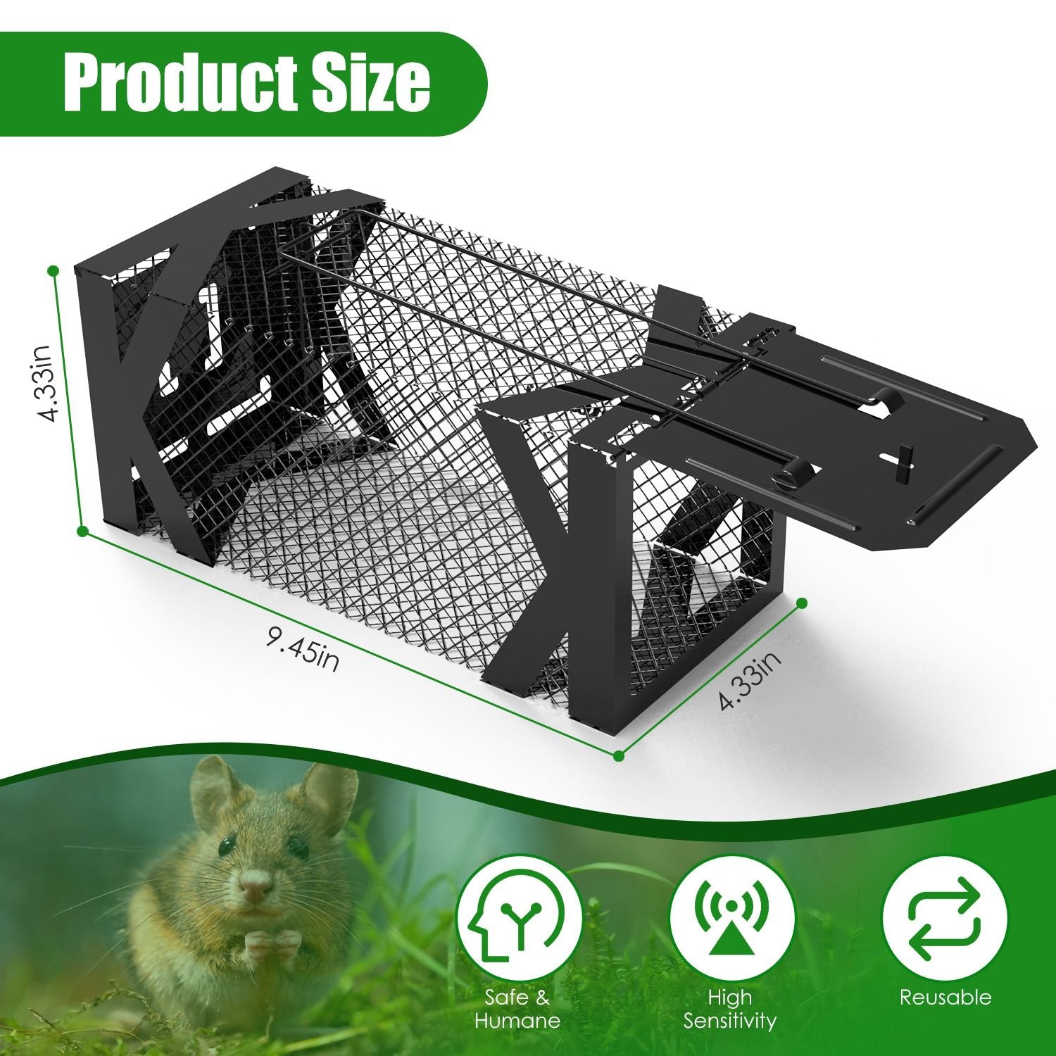 Humane Mouse Trap Cage – Catch & Release Without Harm