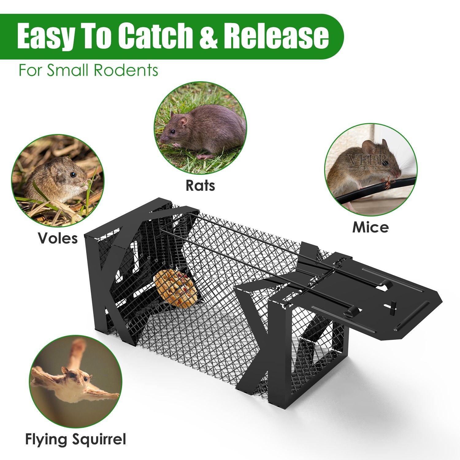 Humane Mouse Trap Cage – Catch & Release Without Harm