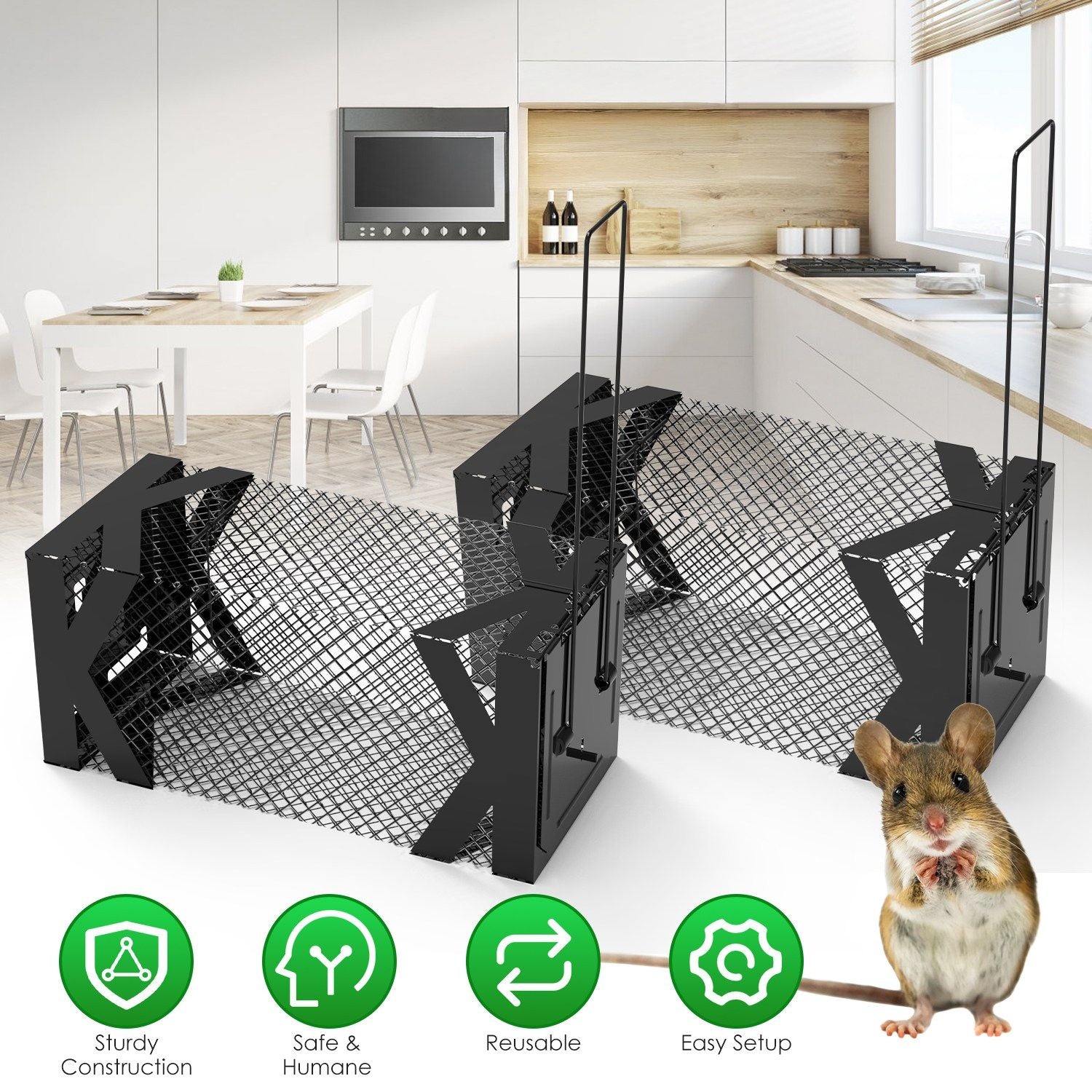 Humane Mouse Trap Cage – Catch & Release Without Harm