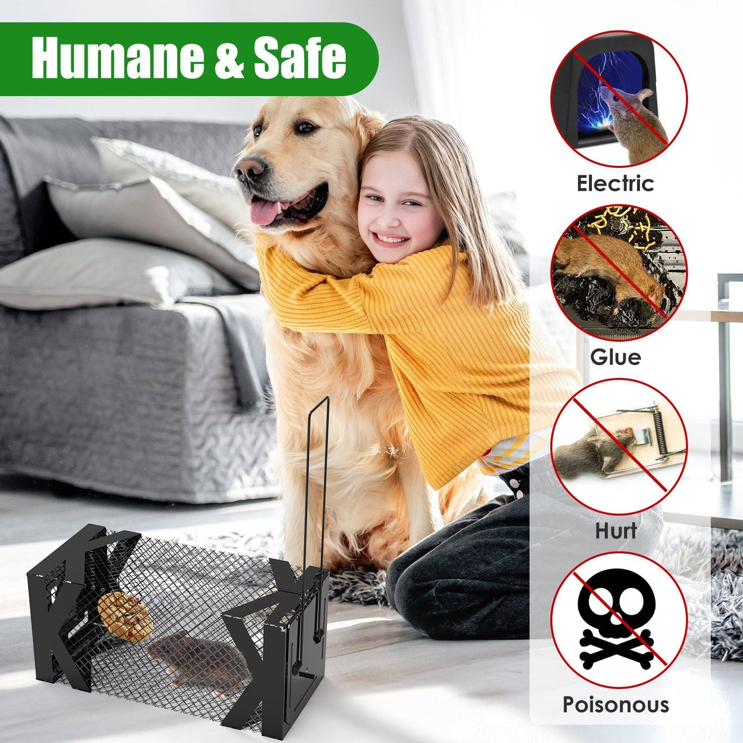 Humane Mouse Trap Cage – Catch & Release Without Harm