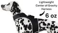 Track Your Hunting Dog with Ease – GPS Collar for Peace of Mind