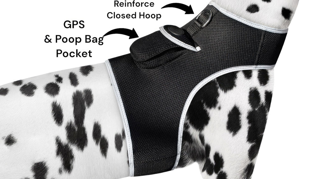 Track Your Hunting Dog with Ease – GPS Collar for Peace of Mind