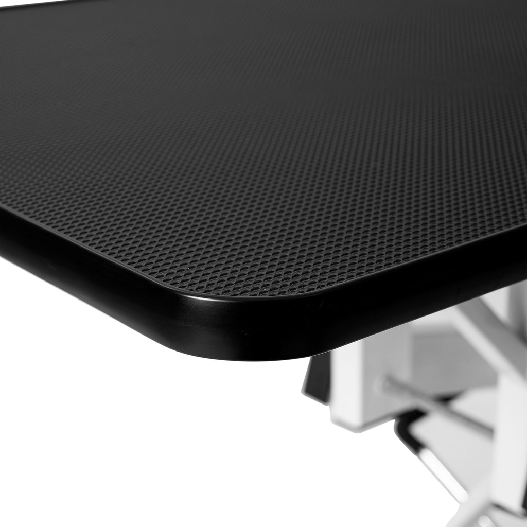 Professional Hydraulic Pet Grooming Table with Adjustable Arm