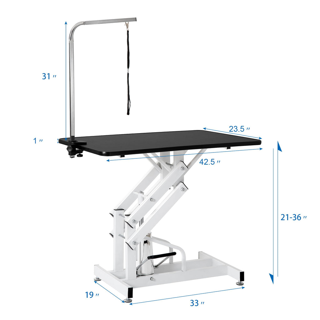 Professional Hydraulic Pet Grooming Table with Adjustable Arm