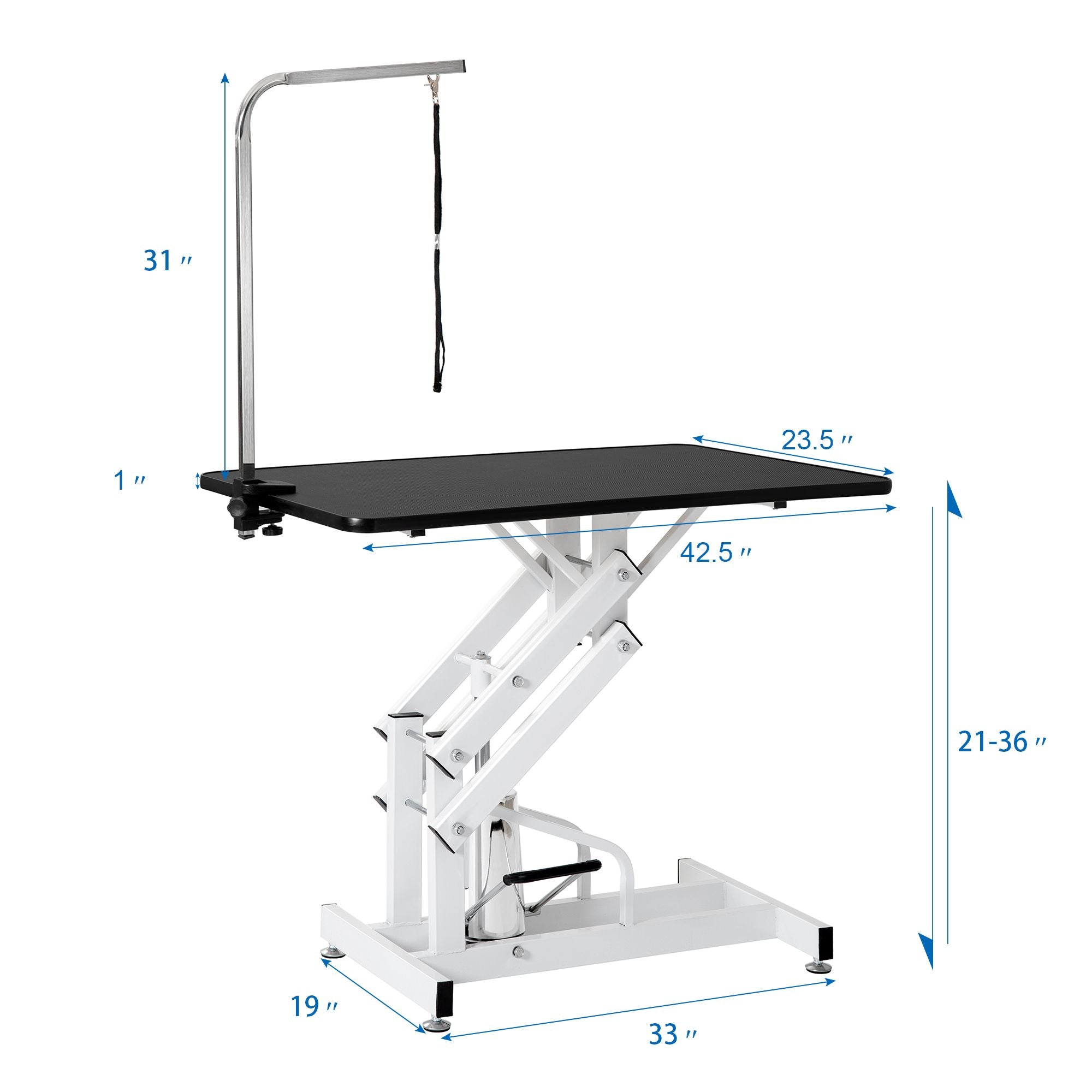 Professional Hydraulic Pet Grooming Table with Adjustable Arm